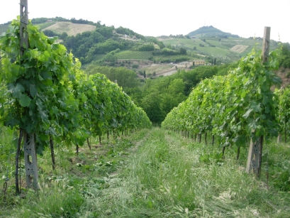 Il lavoro fatto con passione