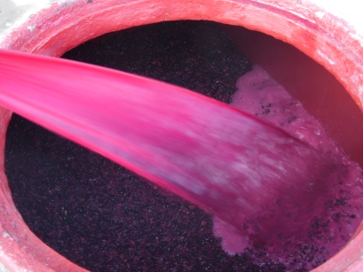 Dalla vigna alla cantina, con il cuore