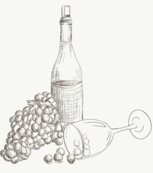 Scheda tecnica